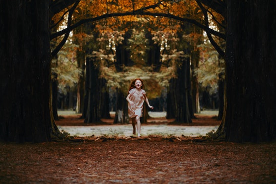 Gallary Image