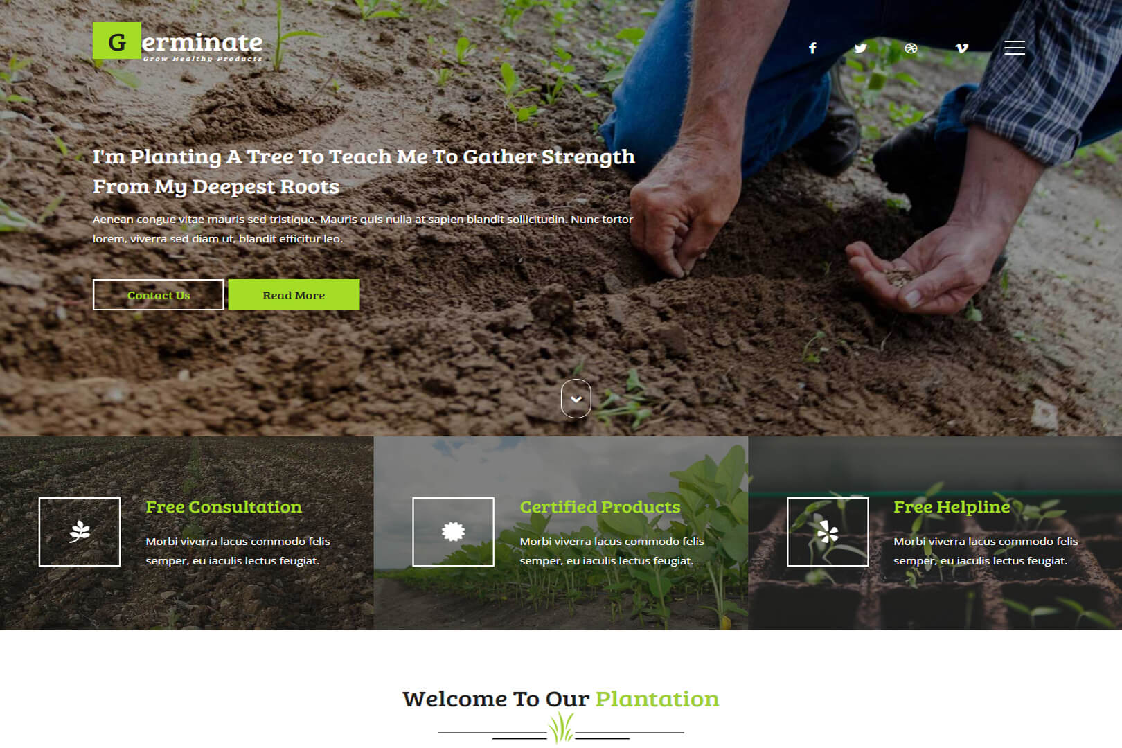 responsive-free-agriculture-website-templates-templates-hub