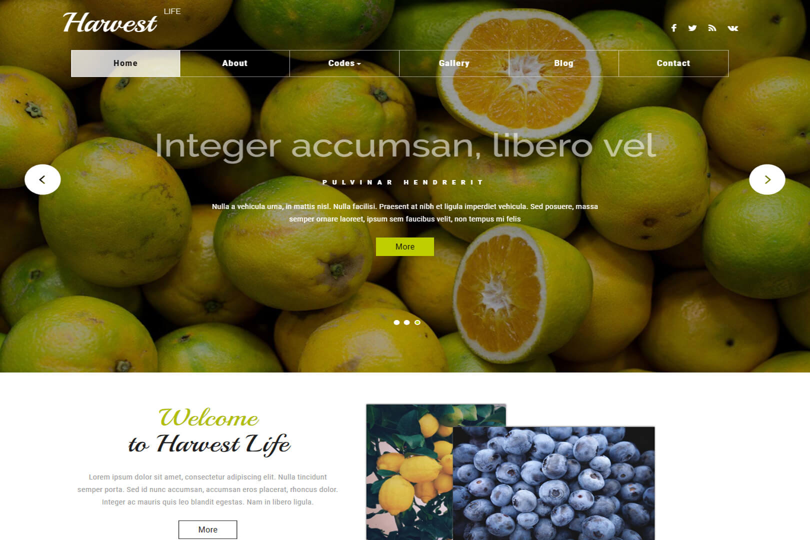 responsive-free-agriculture-website-templates-templates-hub